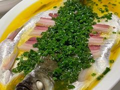 椒麻蒸桂花鱼-玫瑰厅上海菜(兴国路店)