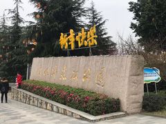 -铁山坪森林公园