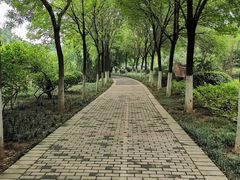 -洛阳市隋唐城遗址植物园