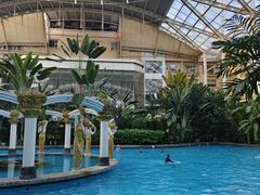 -龙熙维景国际会议中心