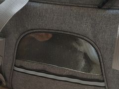 -四月宠物医院·猫专科·心脏专科·内科(转塘店)