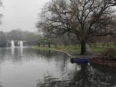 -上海共青森林公园