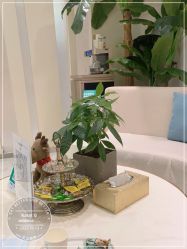 -健身堂科技美肌SPA