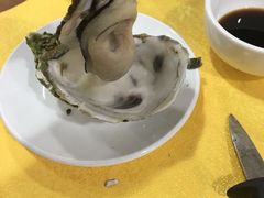 -蚝专家(北滘店)