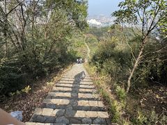 -桃花岭景区