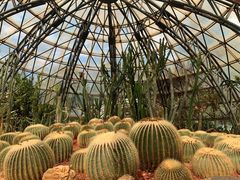 -昆明市金殿名胜区