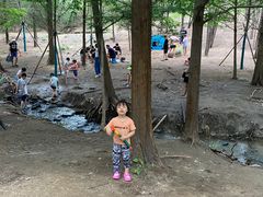 -白水寺森林公园