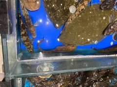 -映像威海·海鲜味道(经区店)