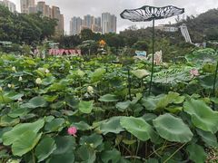 -龙环葡韵住宅式博物馆