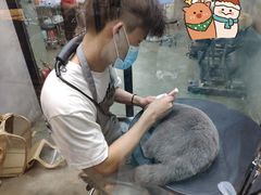 -PETKIT 小佩宠物·低压洗护·美容·寄养(安远店)