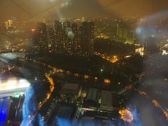 -339旋转餐厅(天府熊猫塔店)