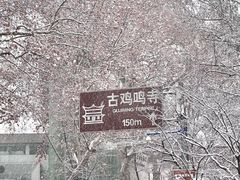 -鸡鸣寺
