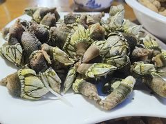-四季美蚝皇