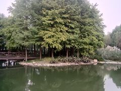 -尚贤河湿地