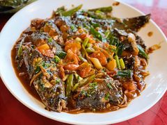 -生态苑农庄(十里画廊遇龙河店)