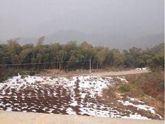 iphone_upload_pic-江南天池