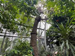-南山植物园