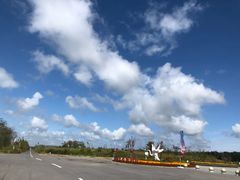 -盐城丹顶鹤湿地生态旅游区