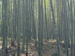 -善卷洞风景区