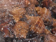 -阳江餐厅·30年老字号·粤菜海鲜大排档