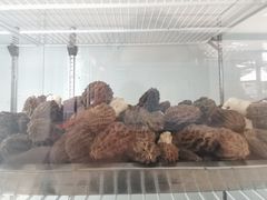 -山菌美食苑(振兴路店)