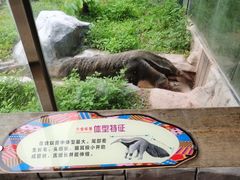 -深圳野生动物园