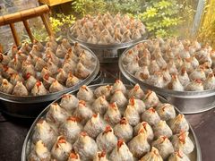 -花楸树下(观水路店)