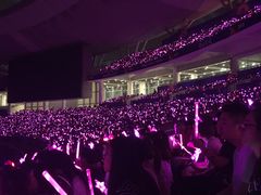 -南京奥林匹克体育中心-体育馆