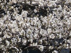 -星湖街(地铁站)