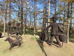 -上海长兴岛郊野公园