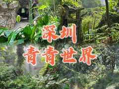 -青青世界