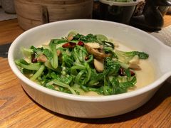 牛肝菌爆炒小白菜苗-德永枣香烤鸭(官舍店)