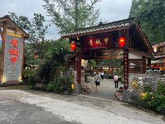 -青城甲(青城山店)