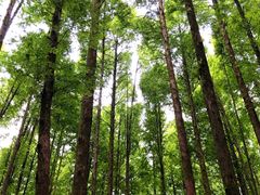 -山王坪喀斯特国家生态公园