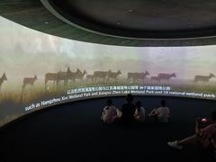 -中国湿地博物馆