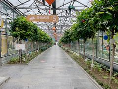 -南宫五洲植物乐园