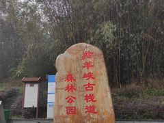 -羚羊峡古栈道森林公园