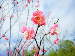 -广富林郊野公园