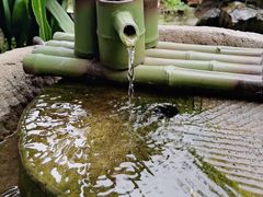 -水岸居湖景农家乐·阳澄湖大闸蟹