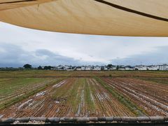 -喜林苑·稻田餐厅(品相府店)