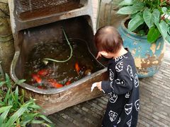 -T館·花园艺术餐厅