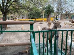 -郑州市动物园