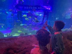 -沈阳海洋探索中心