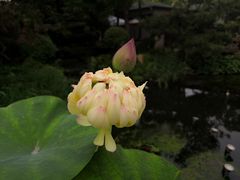 -熙古里艺术村