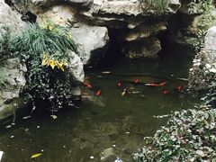 -上海市皮肤病医院(武夷路院区)