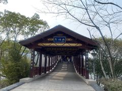 -长广溪湿地公园