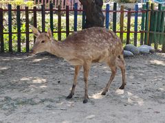 -广东花都香草世界旅游度假区