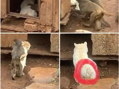 -昆明动物园