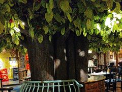 -四世同堂·京菜·烤鸭(双井店)