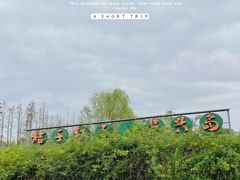 -前小桔亲子创意农场·草莓采摘·露营烧烤